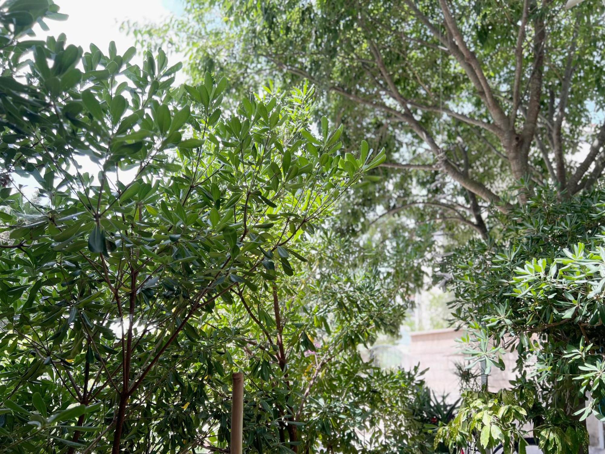 חוואר Room Tai - Spacious And Comfy With Private Terrace מראה חיצוני תמונה